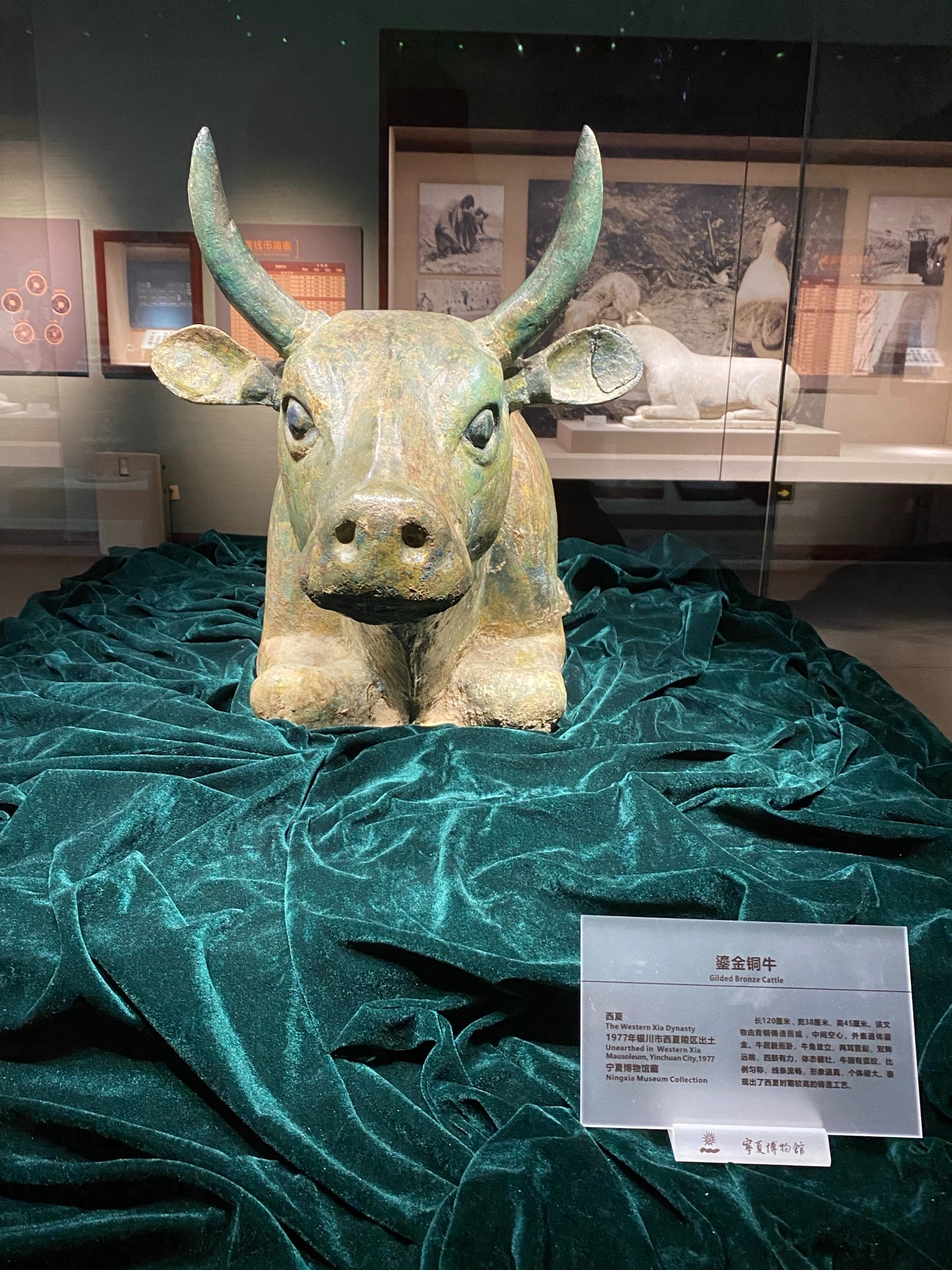 鎏金铜牛整体展示