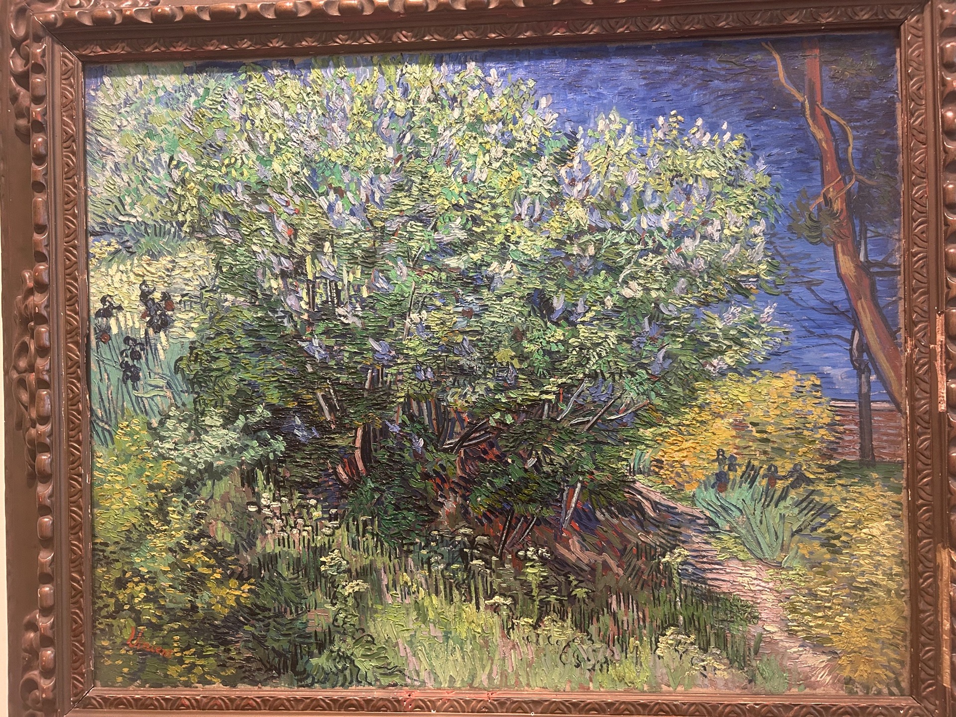 文森特·梵高《灌木丛》（1889）