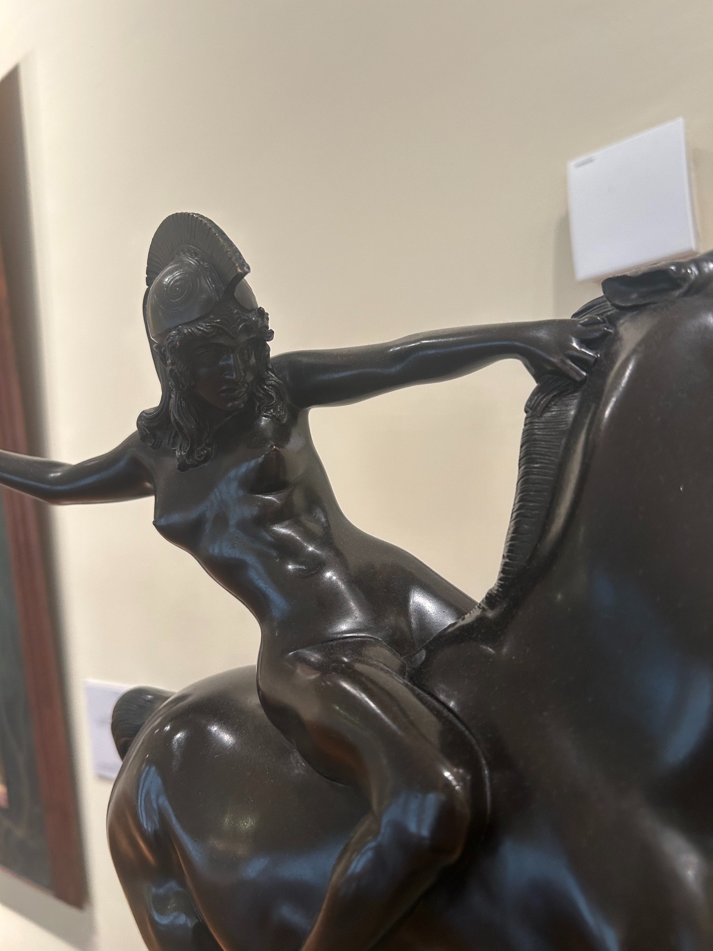 亚马逊女战士（正面）