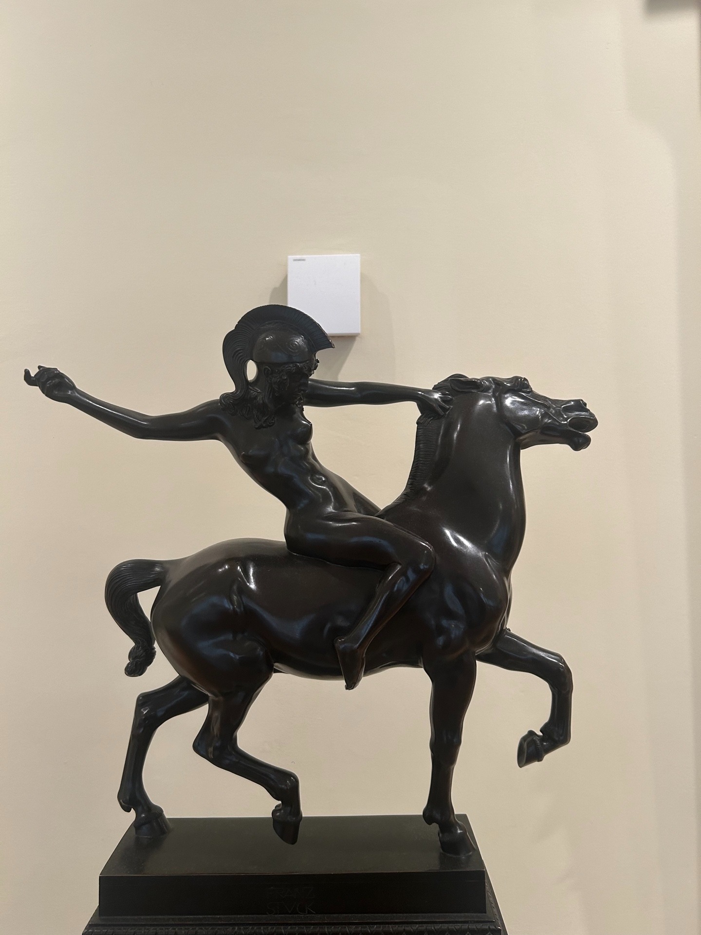 亚马逊女战士（正面）